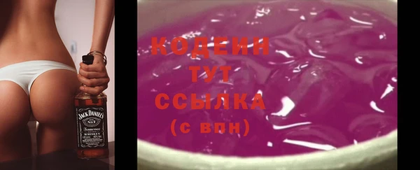 2c-b Надым