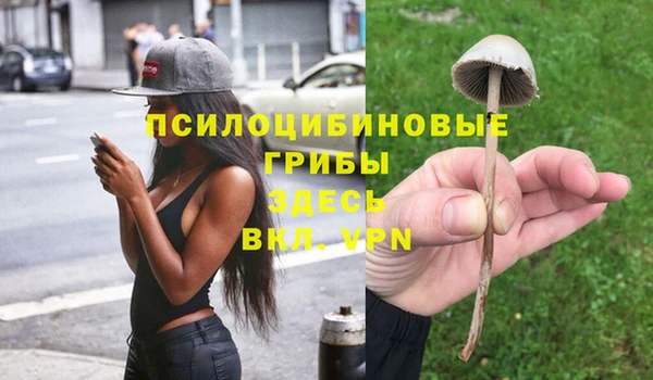2c-b Надым