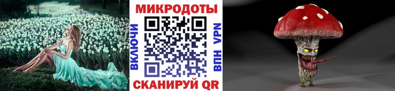 Галлюциногенные грибы прущие грибы  Ковров 