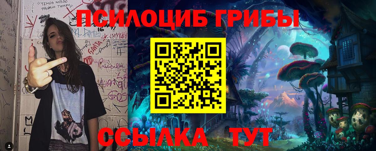 Псилоцибиновые грибы GOLDEN TEACHER Ковров